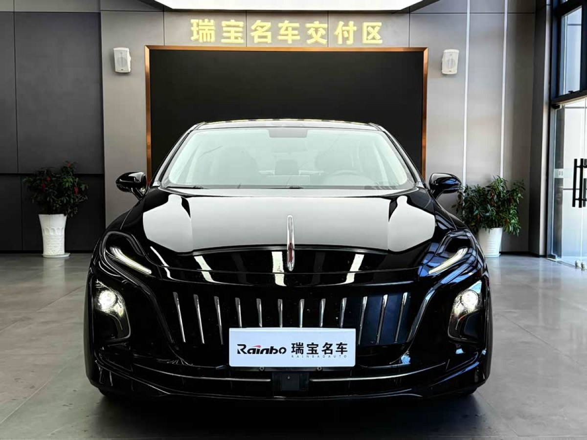 HongQi E-QM5 2024 #3 HongQi E-QM5 2024 immagine di auto #3