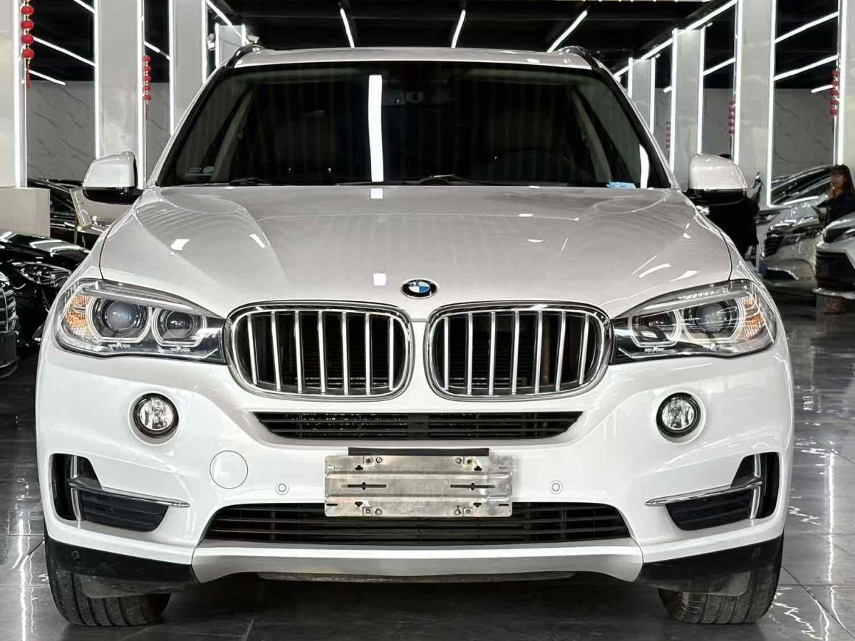 BMW X5 New Energy (Imported) 2019 car image #3