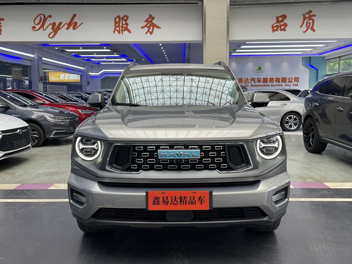 Haval X Dog 2 New Energy 2024 car image #3