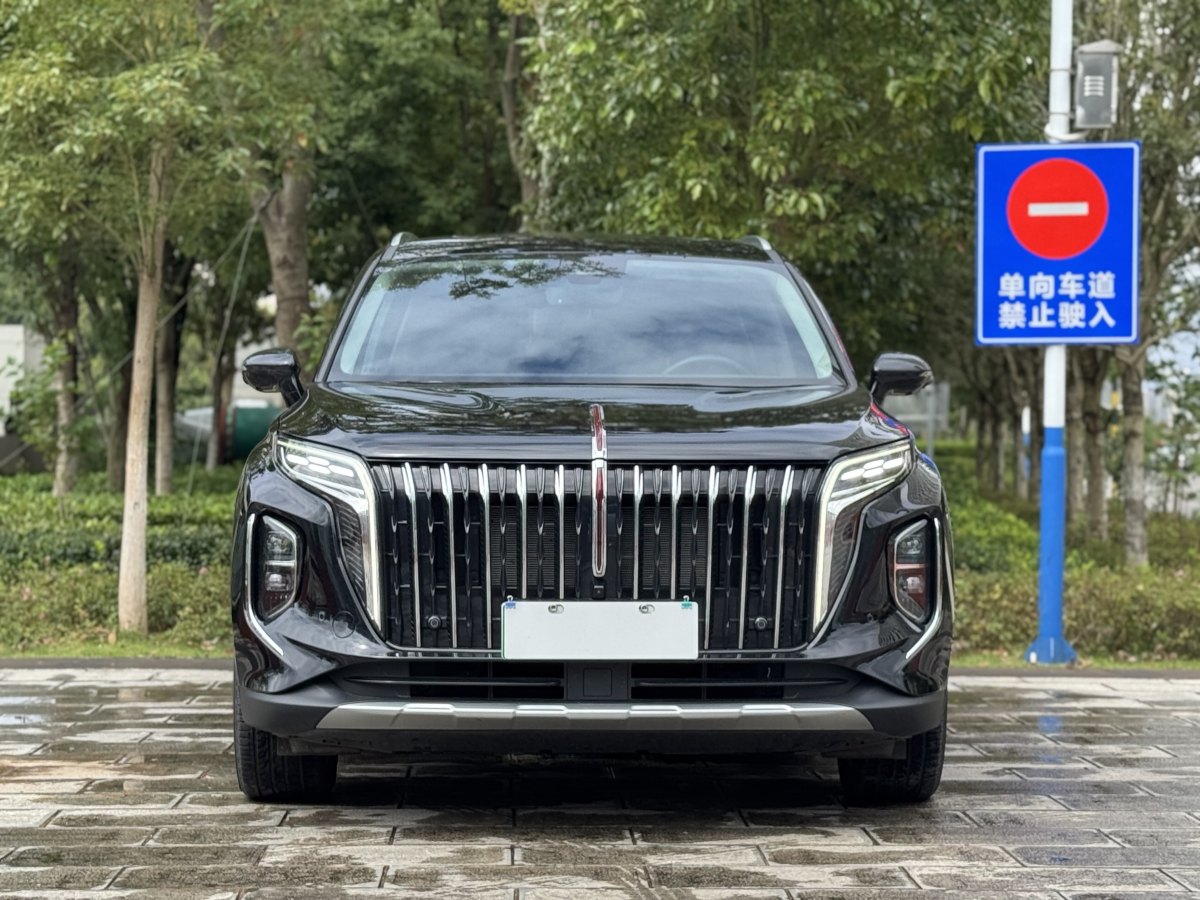 HongQi HS7 PHEV 2024 #3 HongQi HS7 PHEV 2024 car image #3