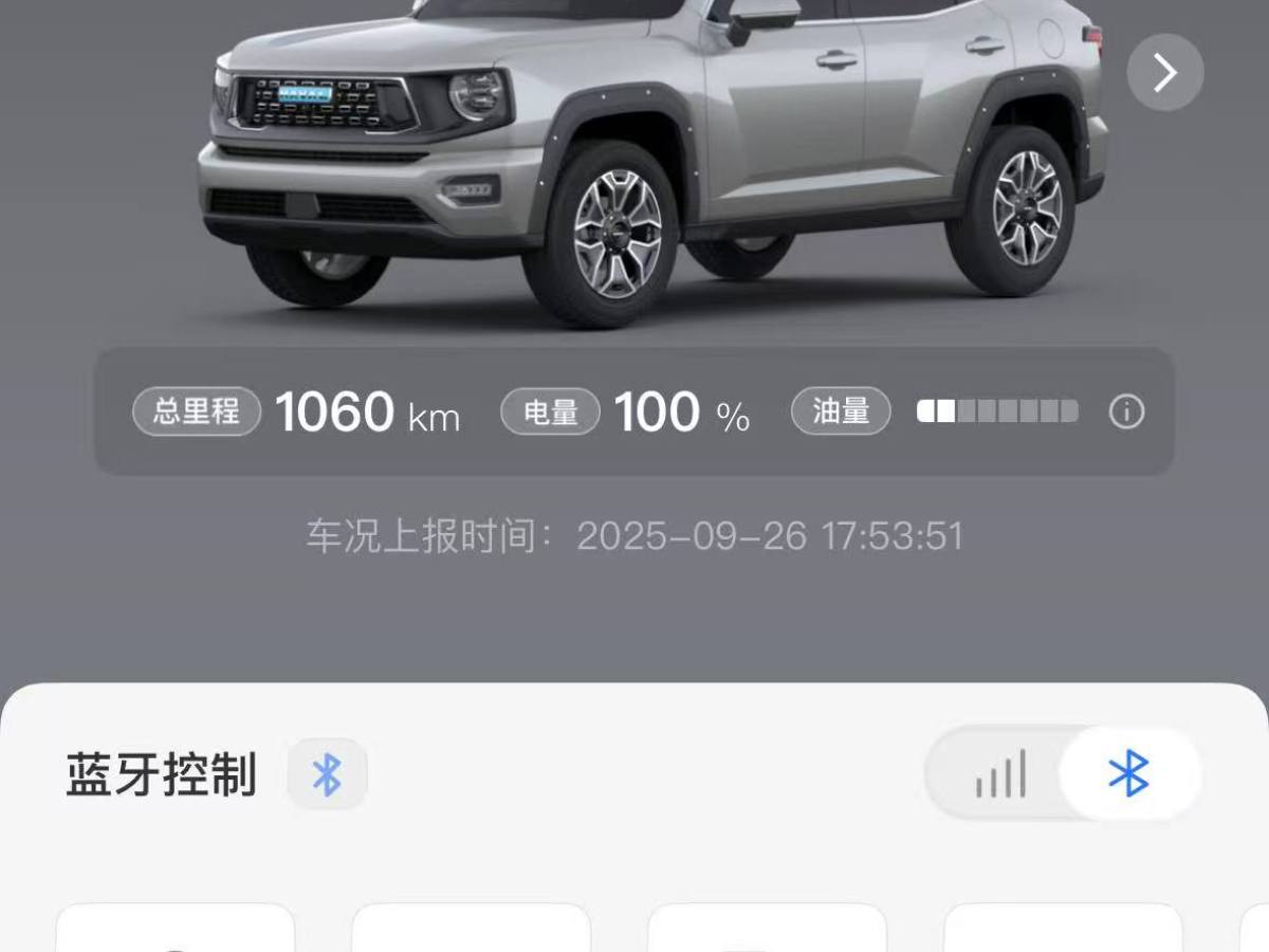 Haval X Dog 2 New Energy 2025 car image #3
