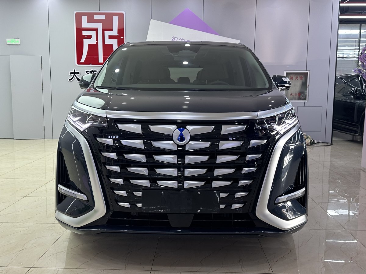 腾势 腾势D9 2023 汽车图片 #3