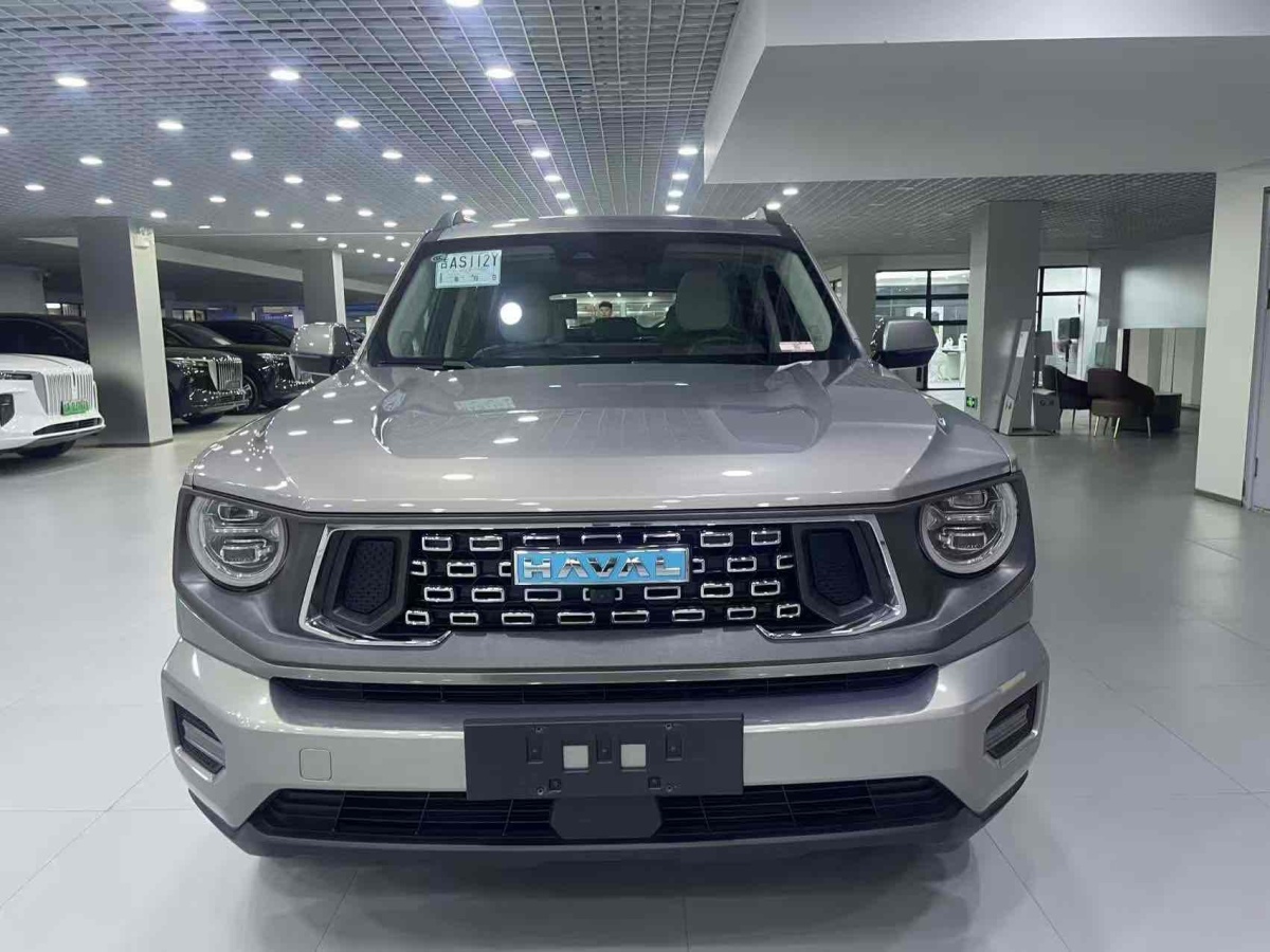 Haval X Dog 2 New Energy 2023 car image #3