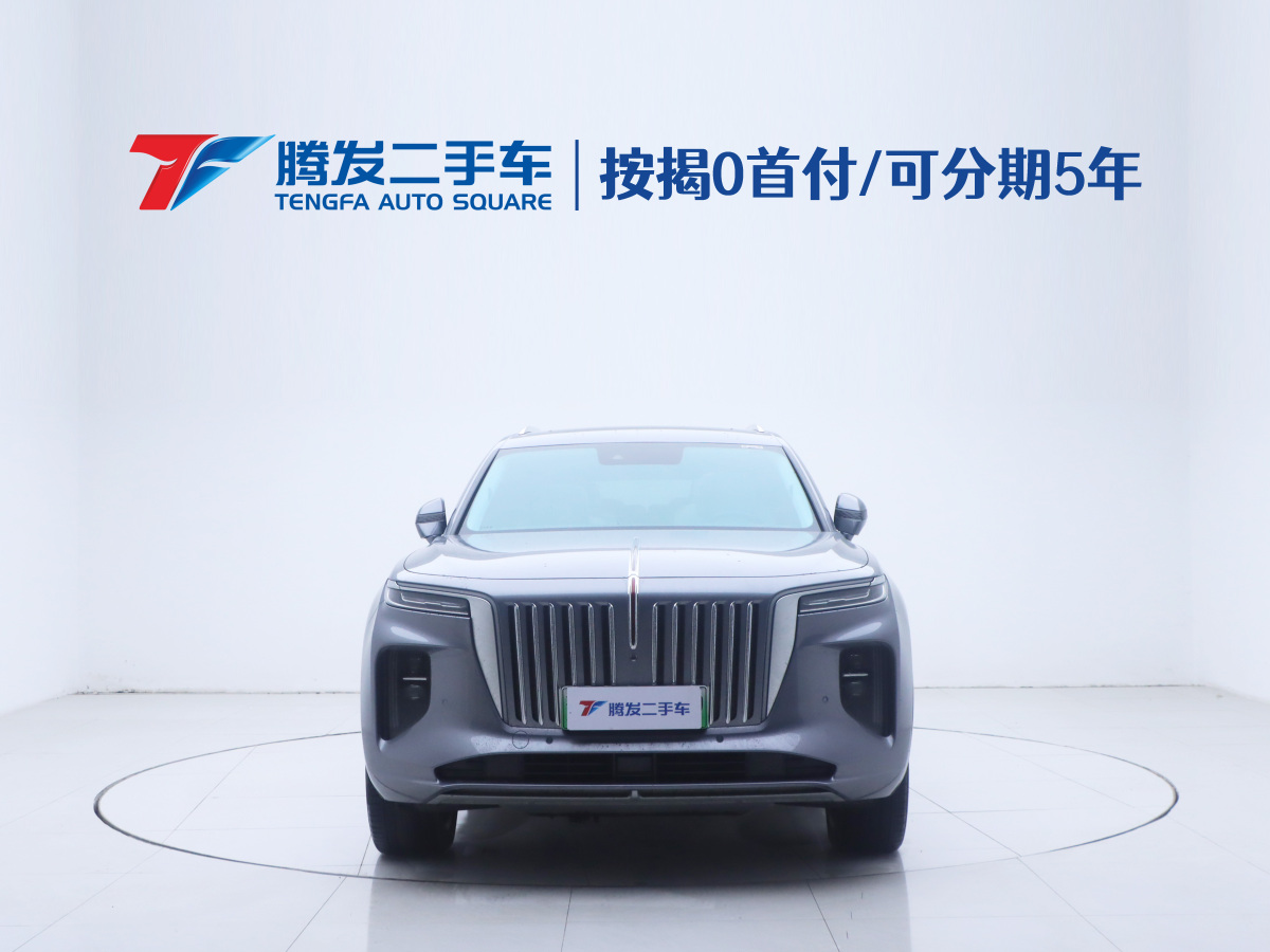 HongQi E-HS9 2023 car image #3