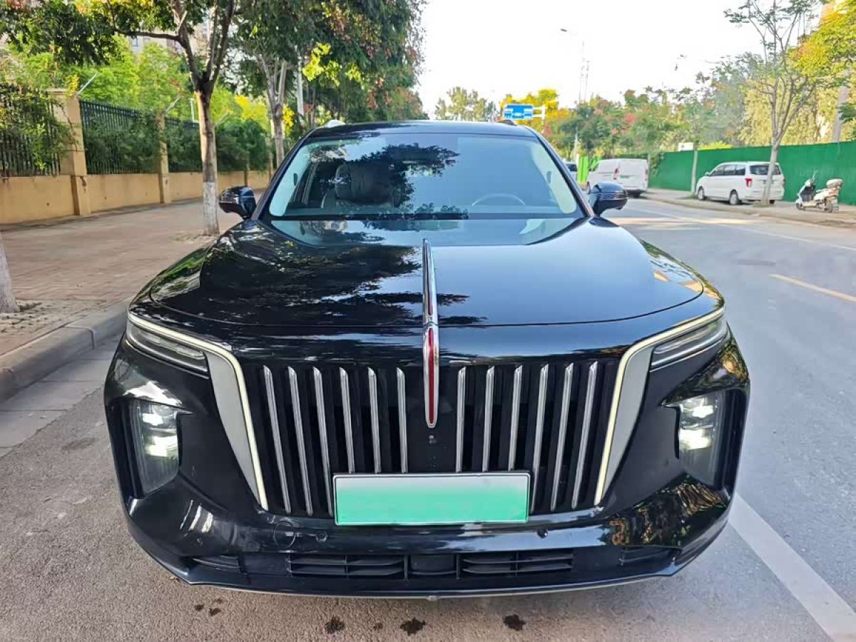 HongQi E-HS9 2022 car image #3