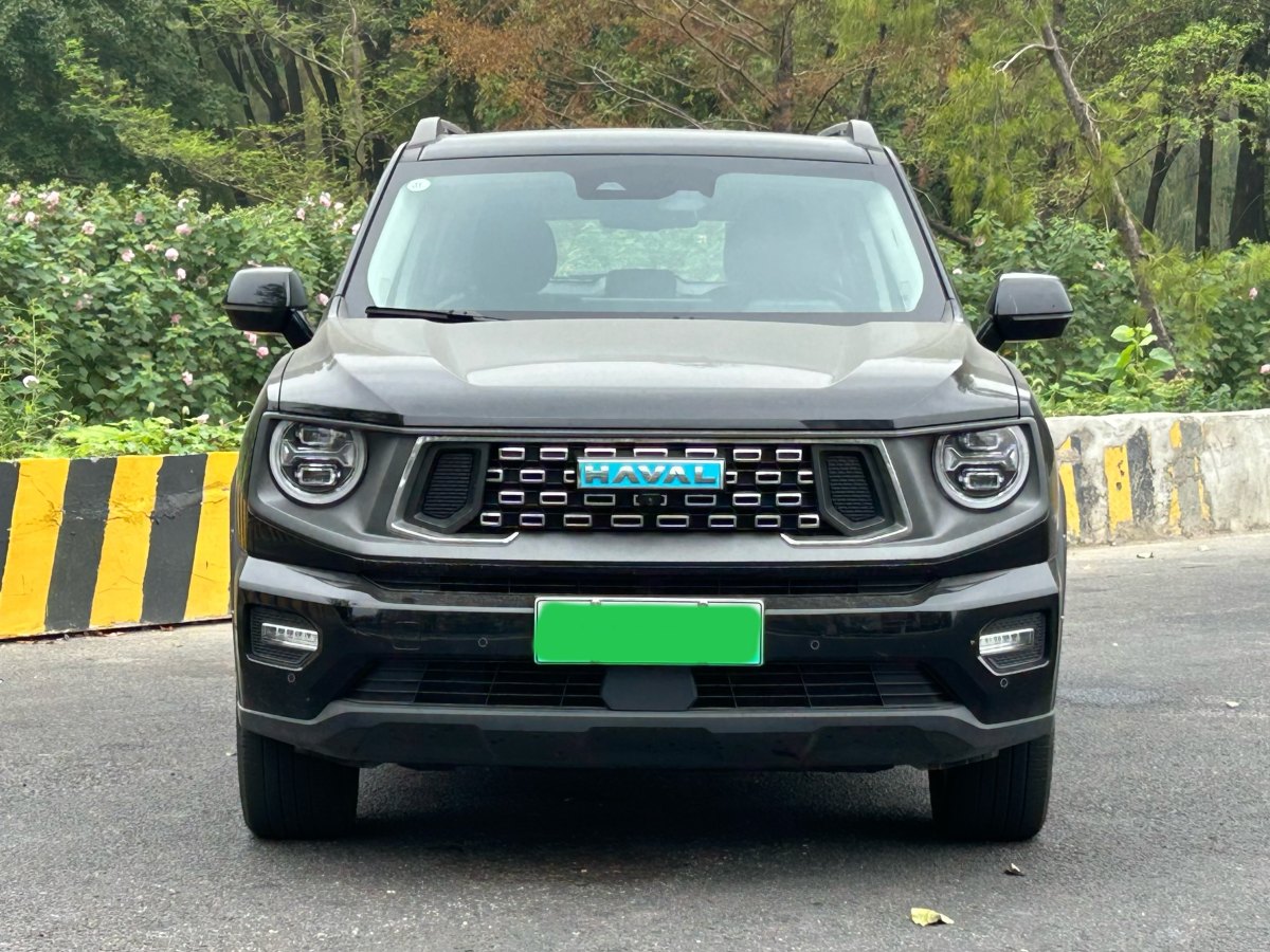 Haval X Dog 2 New Energy 2024 car image #3