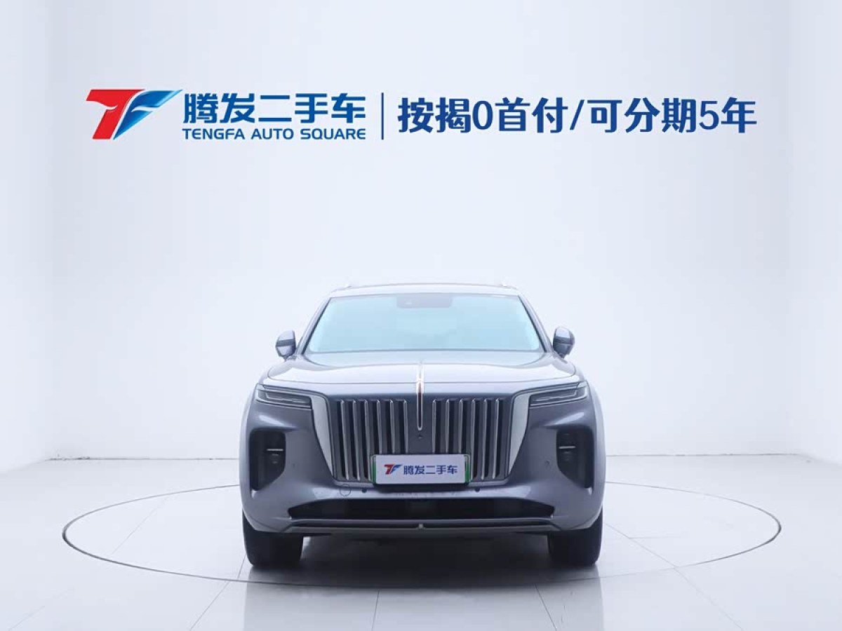 HongQi E-HS9 2023 #3 HongQi E-HS9 2023 car image #3