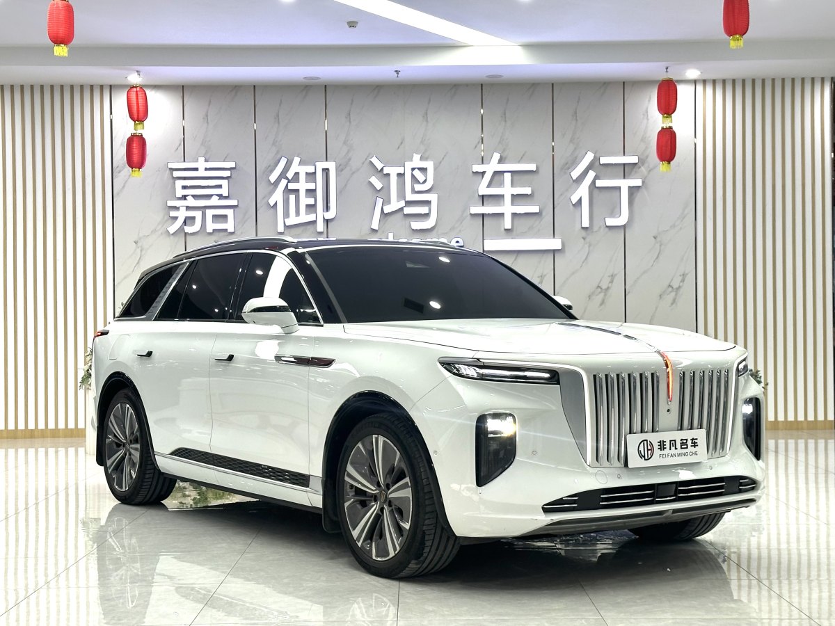 HongQi E-HS9 2021 #3 HongQi E-HS9 2021 car image #3