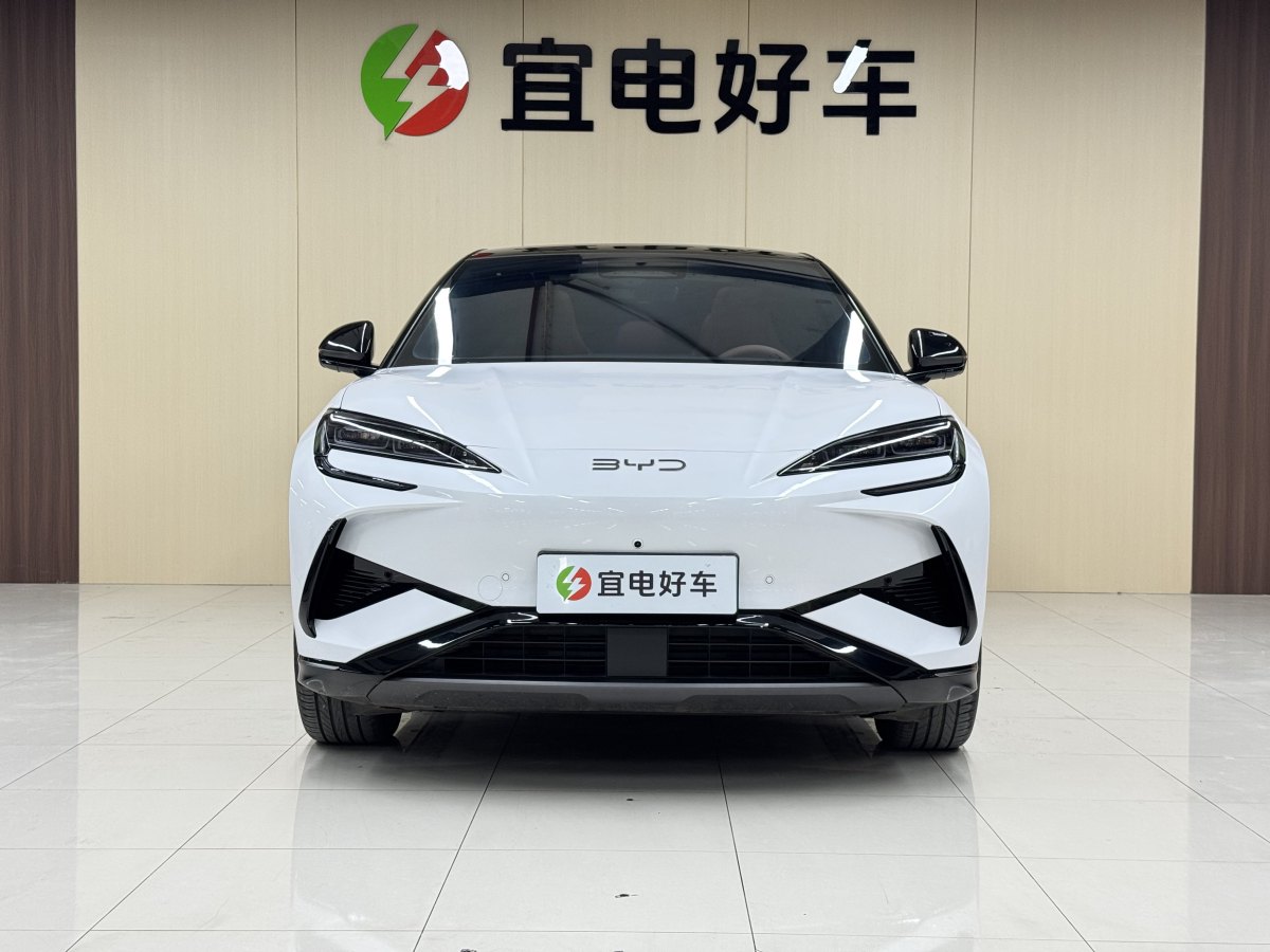 BYD Sea Lion 07 EV 2025 car image #3