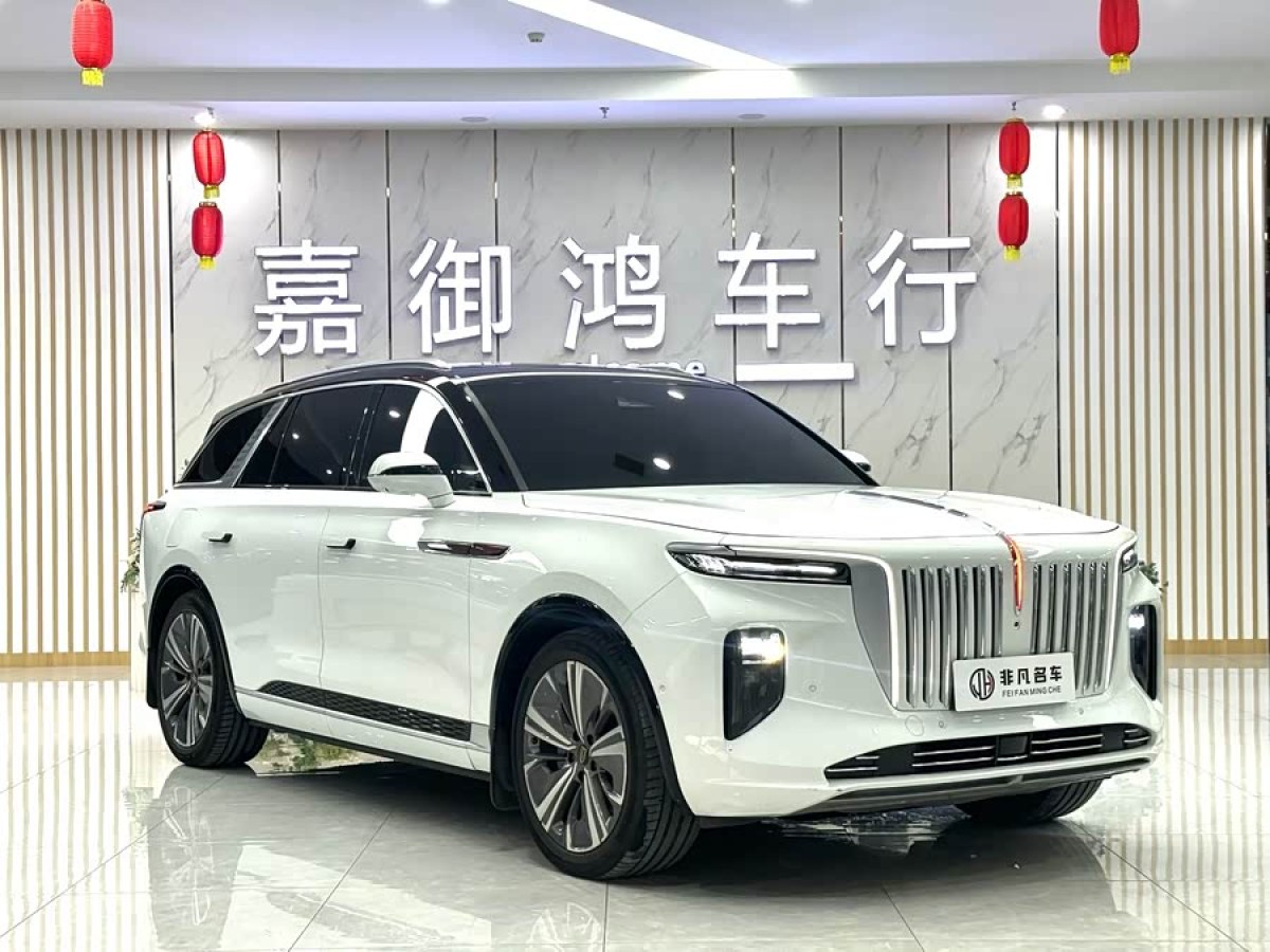 HongQi E-HS9 2021 #3 HongQi E-HS9 2021 immagine di auto #3