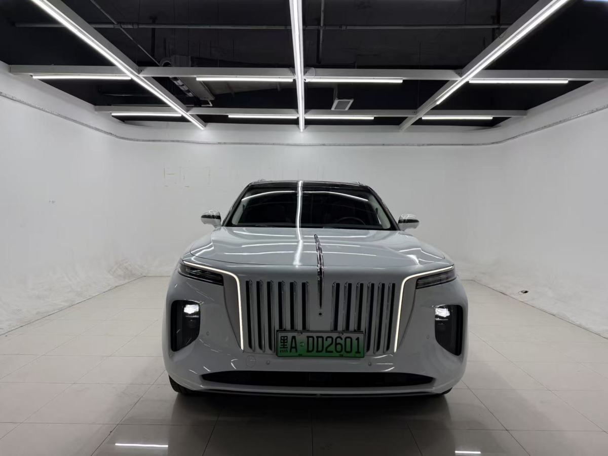 HongQi E-HS9 2022 #3 HongQi E-HS9 2022 car image #3