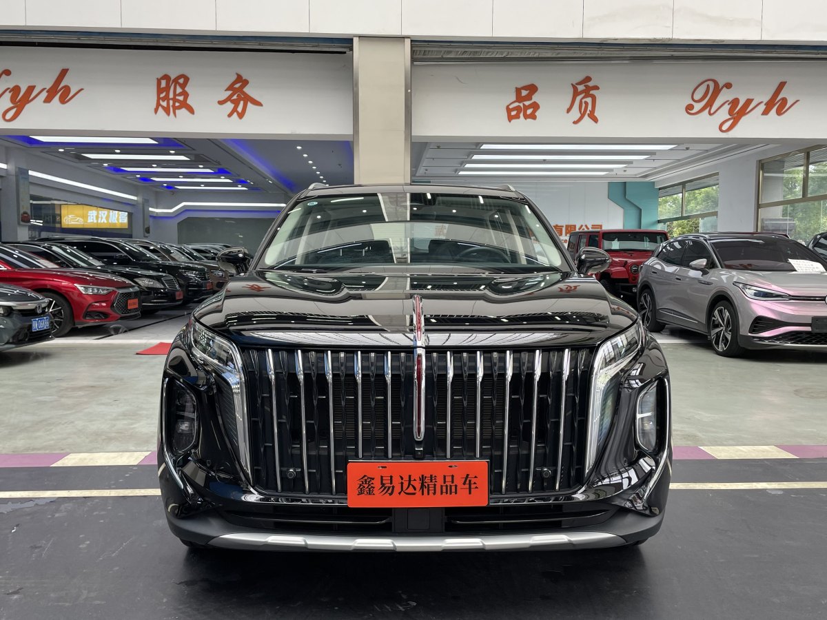 HongQi HS7 PHEV 2024 #3 HongQi HS7 PHEV 2024 car image #3