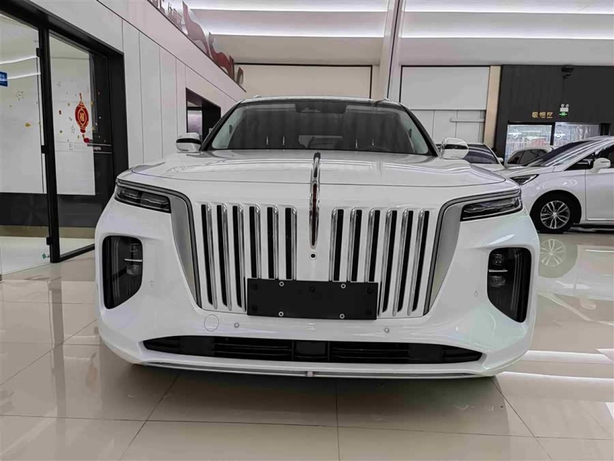 HongQi E-HS9 2021 #3 HongQi E-HS9 2021 immagine di auto #3