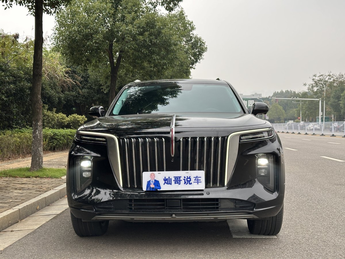 HongQi E-HS9 2022 #3 HongQi E-HS9 2022 car image #3