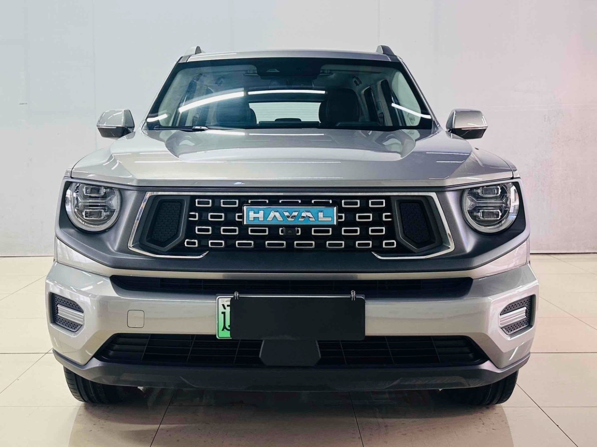 Haval X Dog 2 New Energy 2023 car image #3