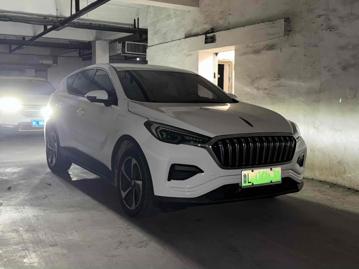 HongQi E-HS3 2020 #3 HongQi E-HS3 2020 immagine di auto #3