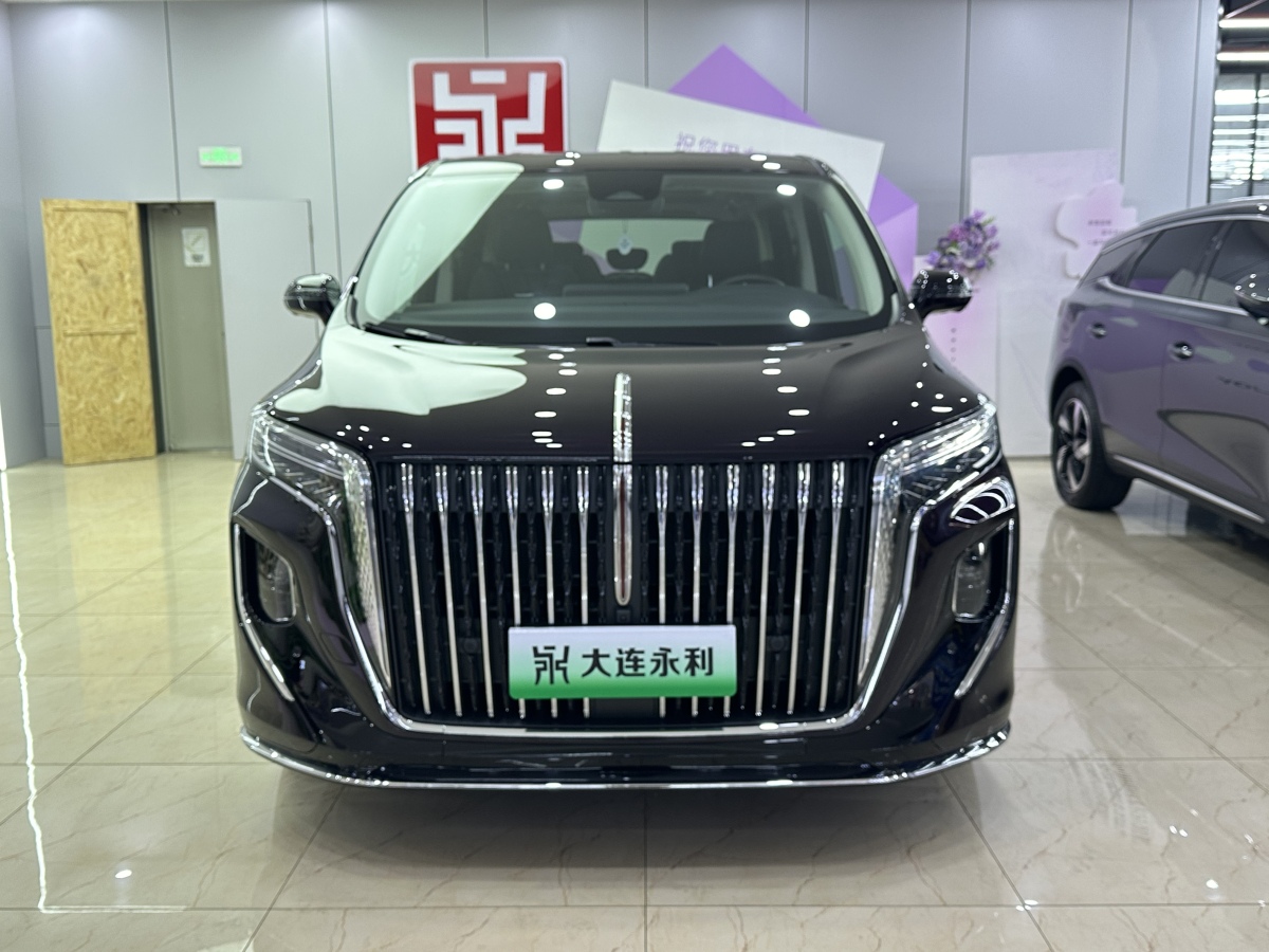 HongQi HQ9 PHEV 2024 car image #3