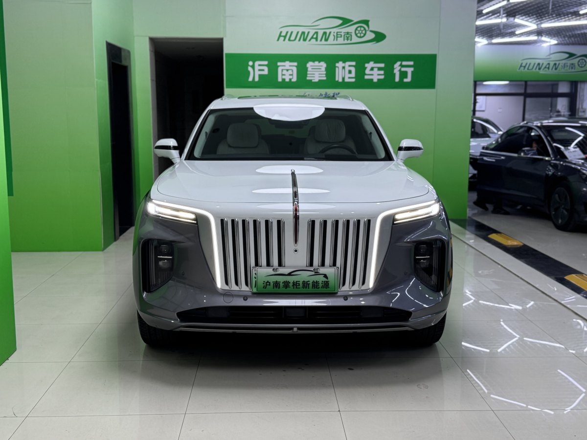 HongQi E-HS9 2021 immagine di auto #3