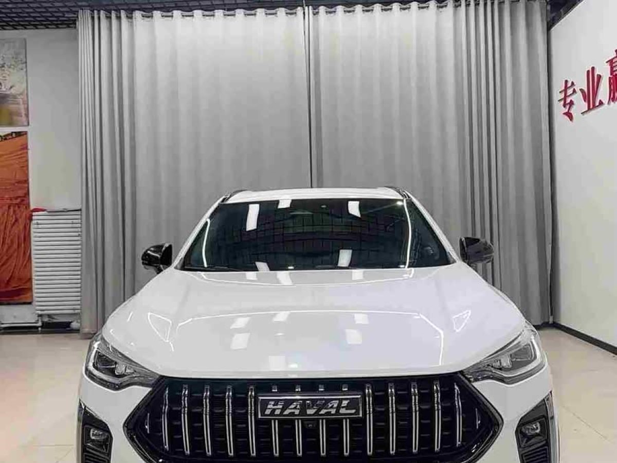 Haval Rabbit 2021 imagem de carro #3