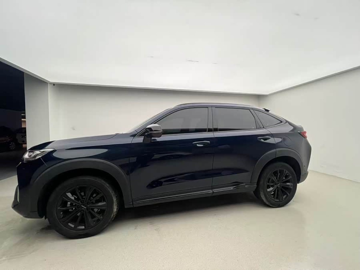 Haval H6S 2022 immagine di auto #3