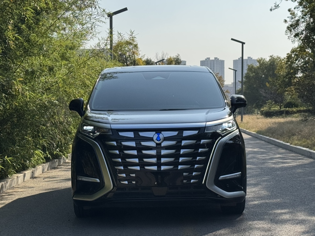 腾势 腾势D9 2024 汽车图片 #3