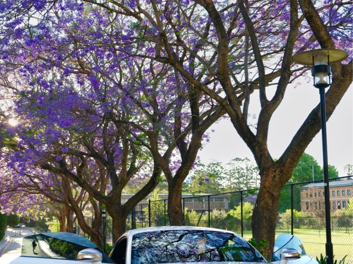 Audi TTS 2013 car image #3