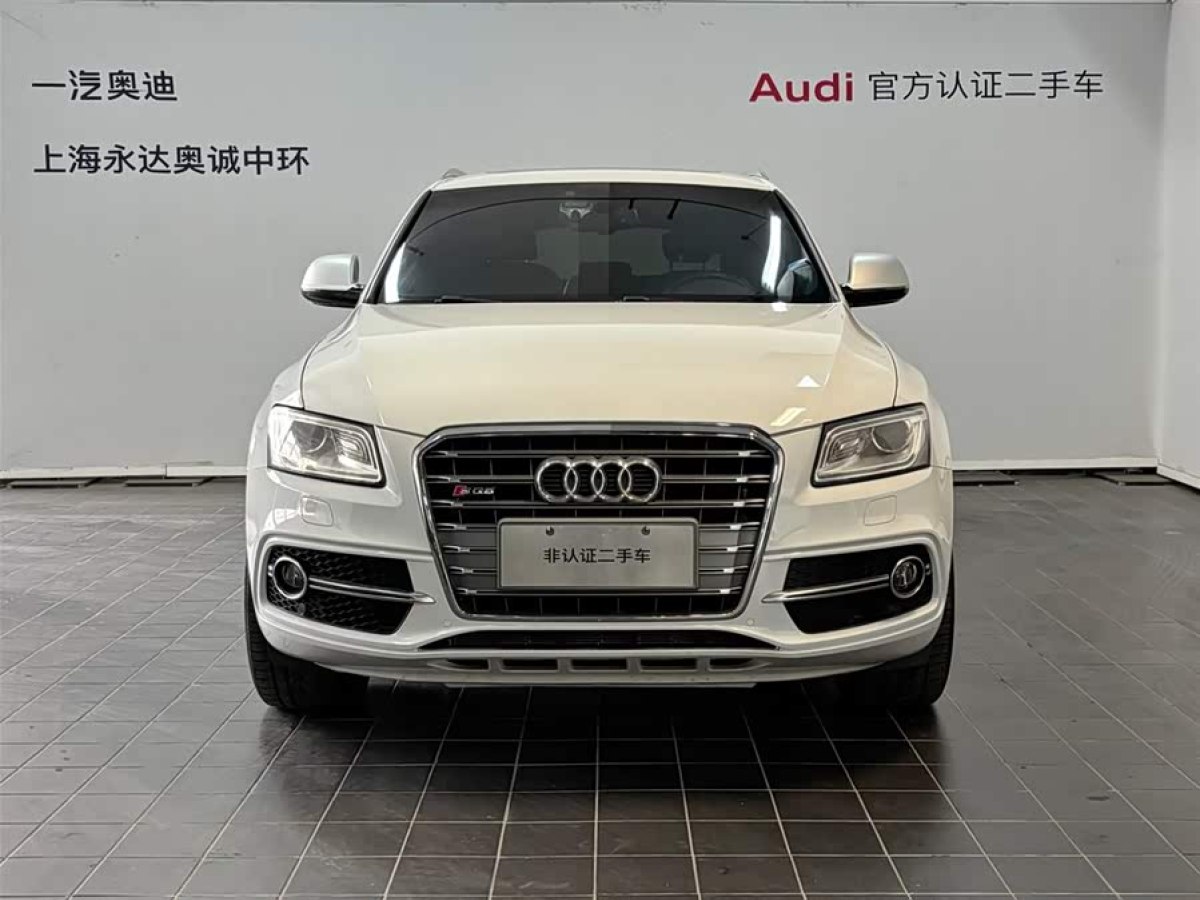 Audi SQ5 2017 imagem de carro #3