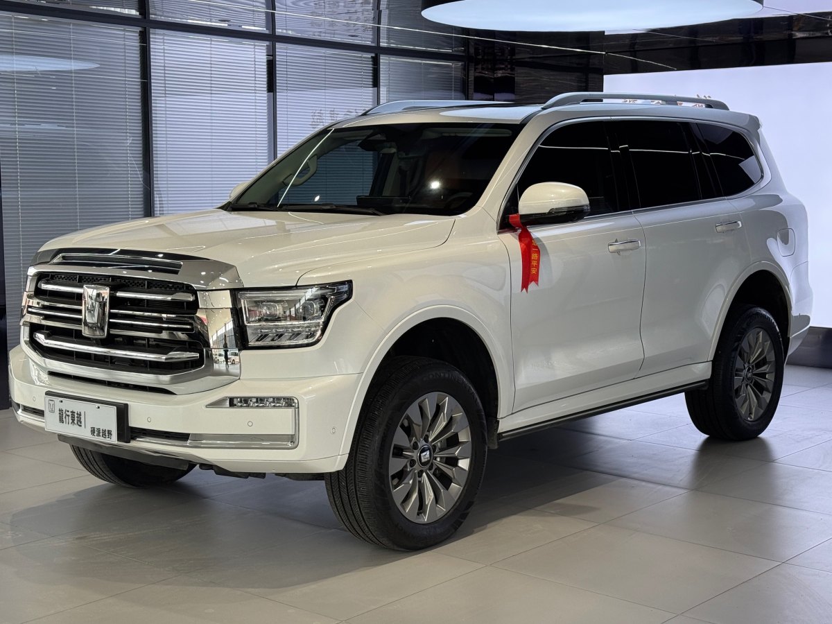 Tank 500 2024 imagen de coche #3