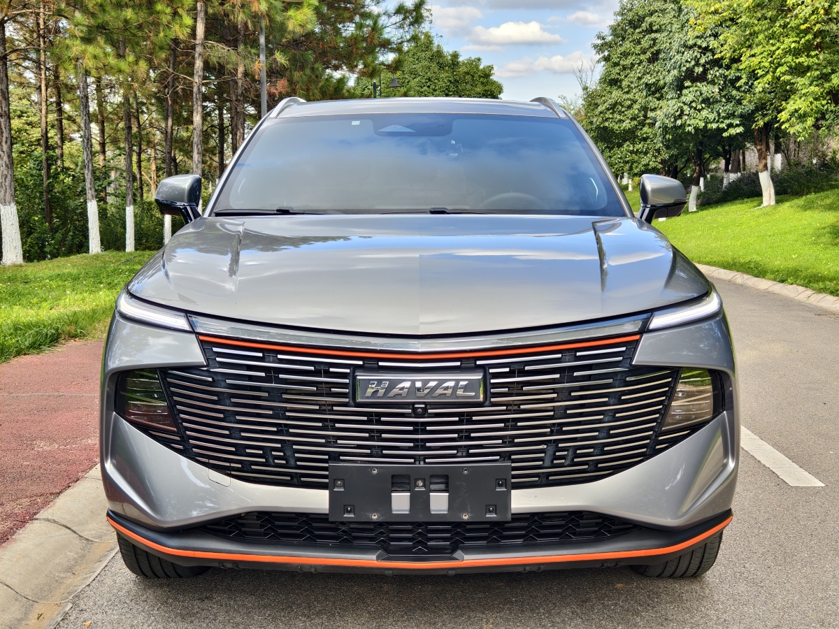 Haval H6 2022 immagine di auto #3