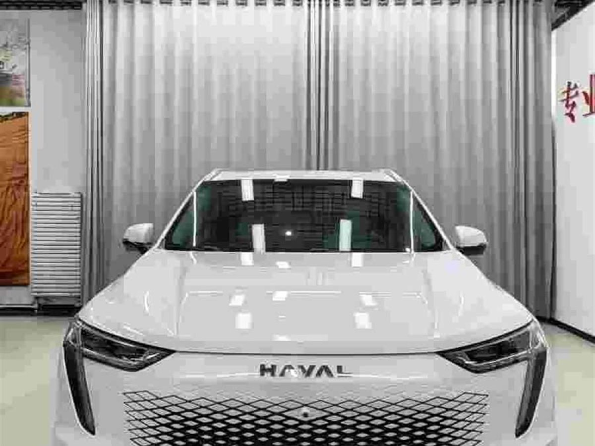 Haval Fierce Dragon MAX 2023 car image #3