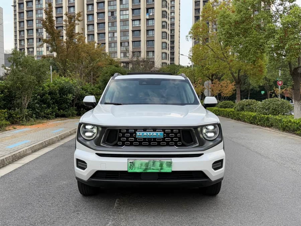 Haval X Dog 2 New Energy 2025 car image #3
