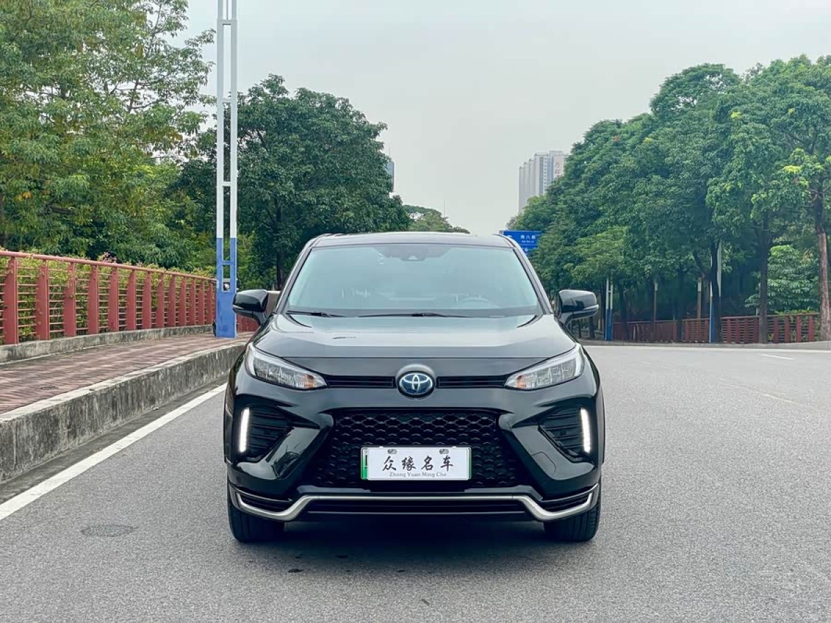 Toyota Wildlander New Energy 2021 immagine di auto #3