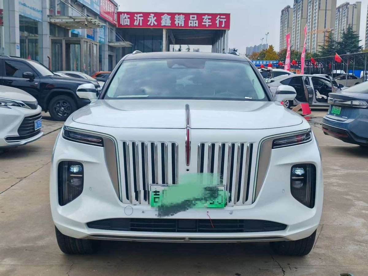 HongQi E-HS9 2024 immagine di auto #3