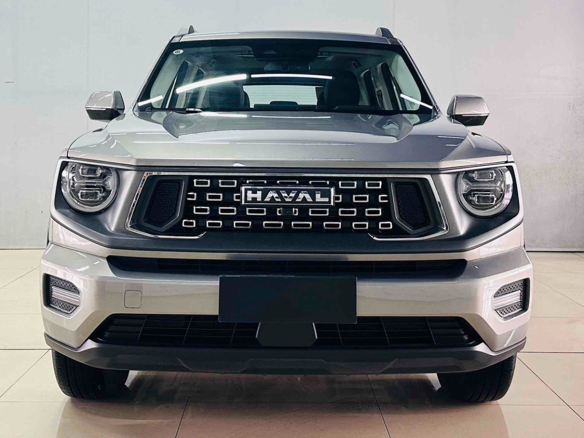 Haval Dargo 2 2024 car image #3