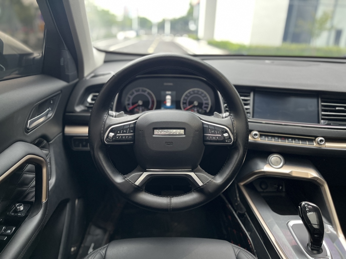 Haval H6 2019 immagine di auto #3