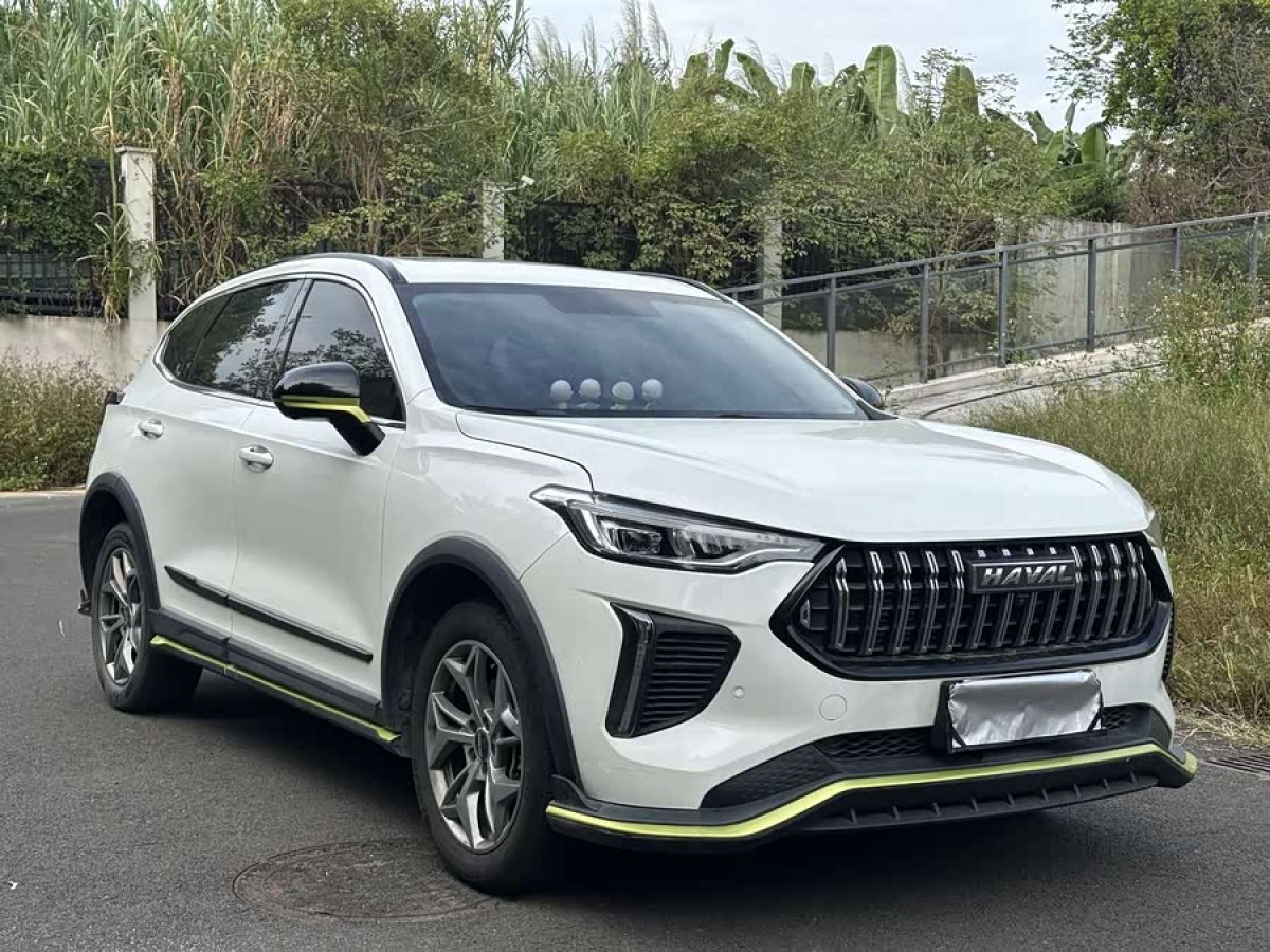 Haval Rabbit 2022 immagine di auto #3