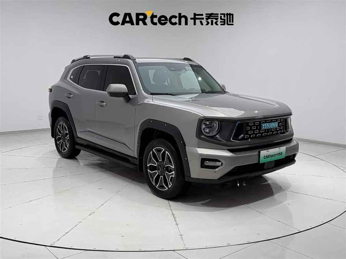 Haval X Dog 2 New Energy 2024 car image #3