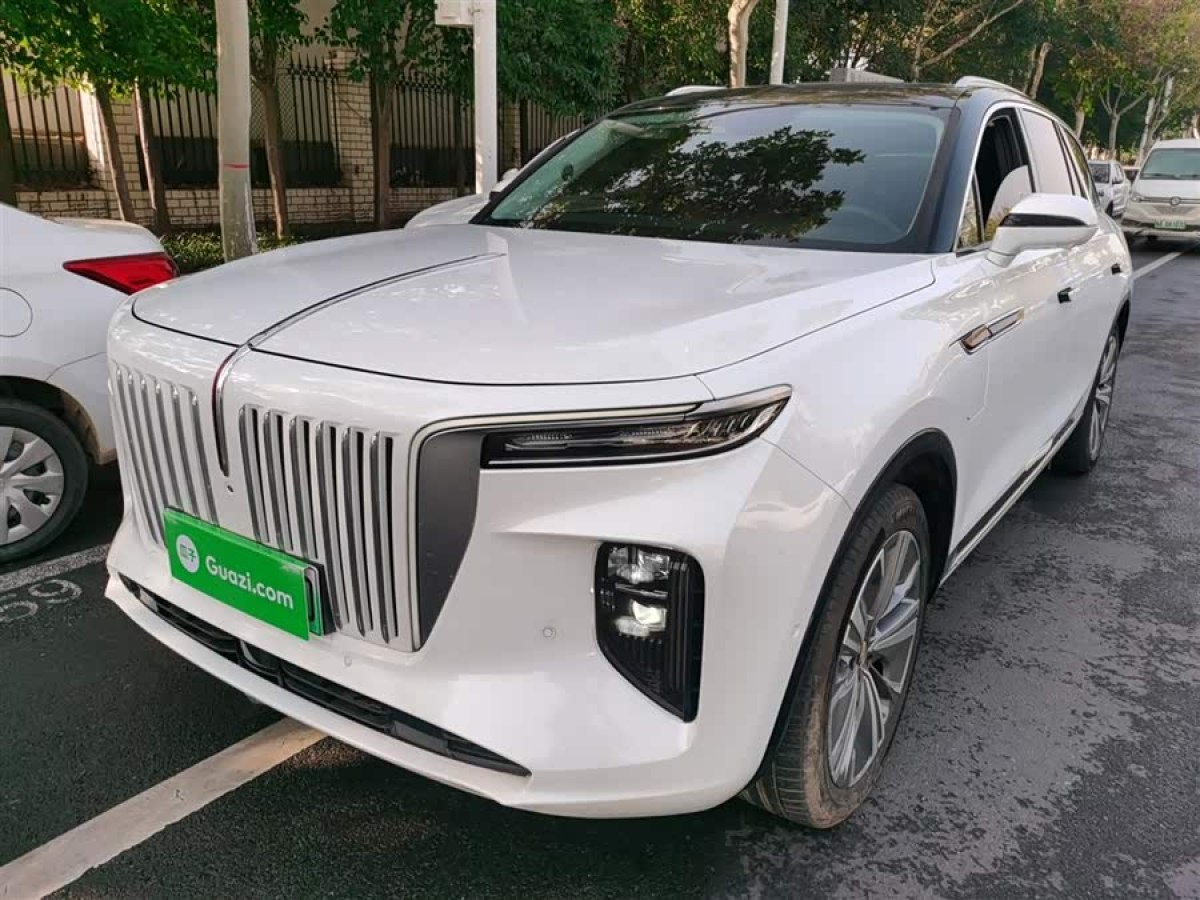 HongQi E-HS9 2023 car image #3