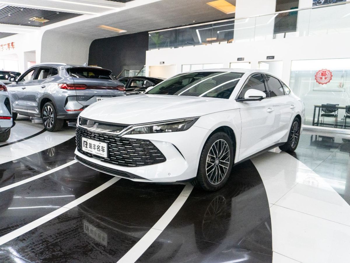 BYD M9 2024 car image #3