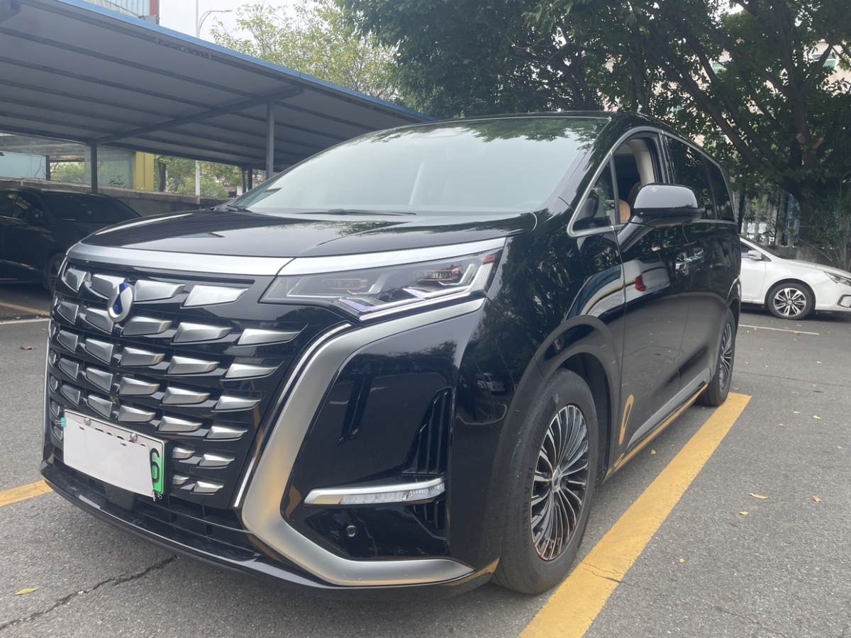 Denza DENZA 2024 car image #3