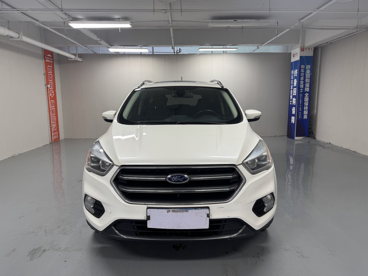 Ford Kuga 2020 car image #3