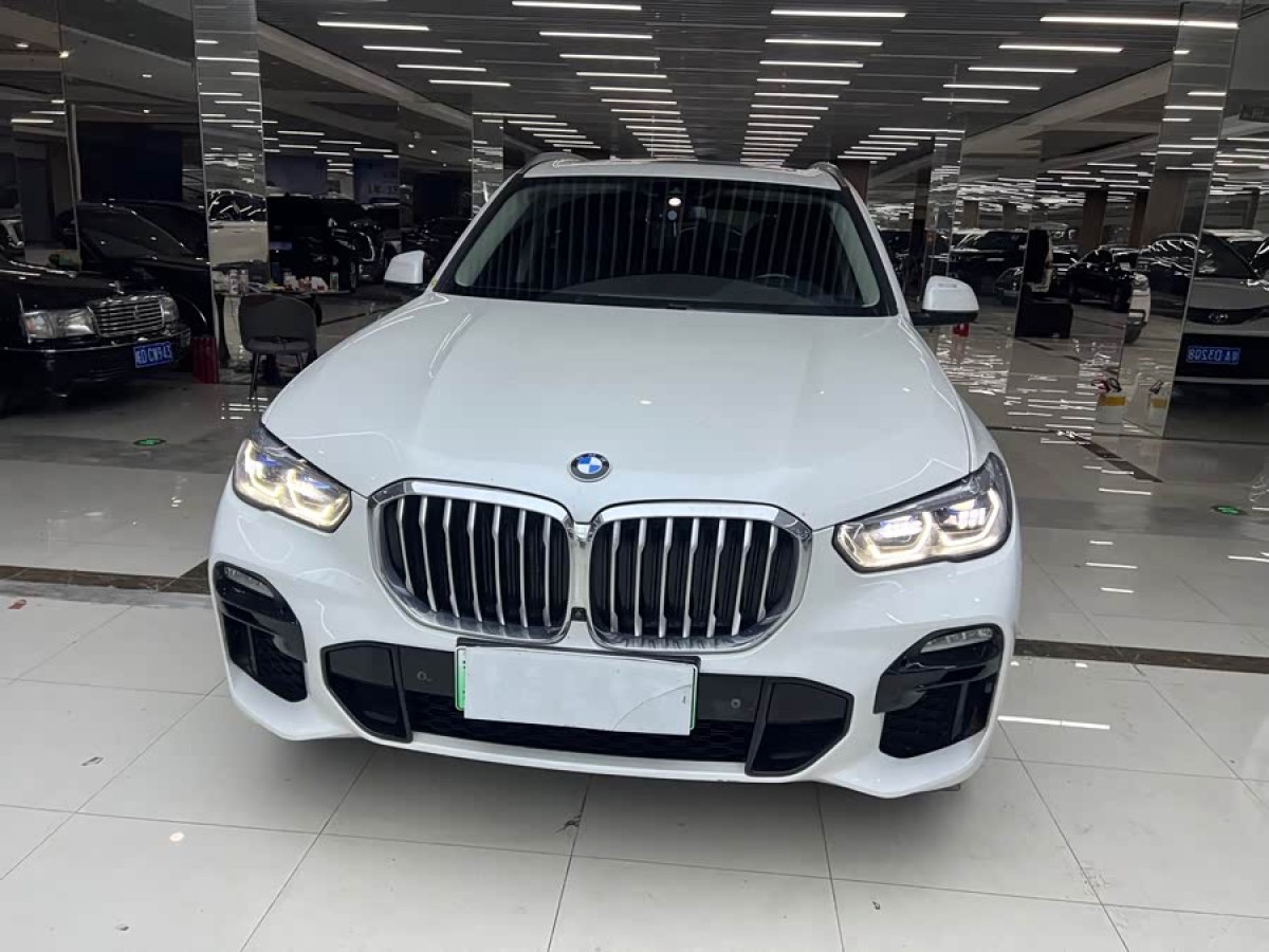 BMW X5 New Energy (Imported) 2021 car image #3