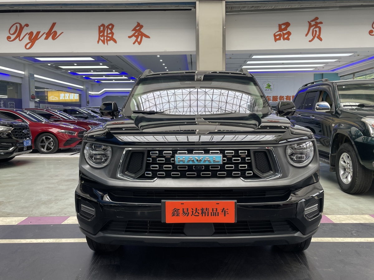 Haval X Dog 2 New Energy 2023 car image #3