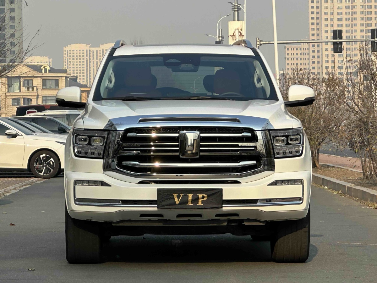 Tank 500 New Energy 2024 car image #3