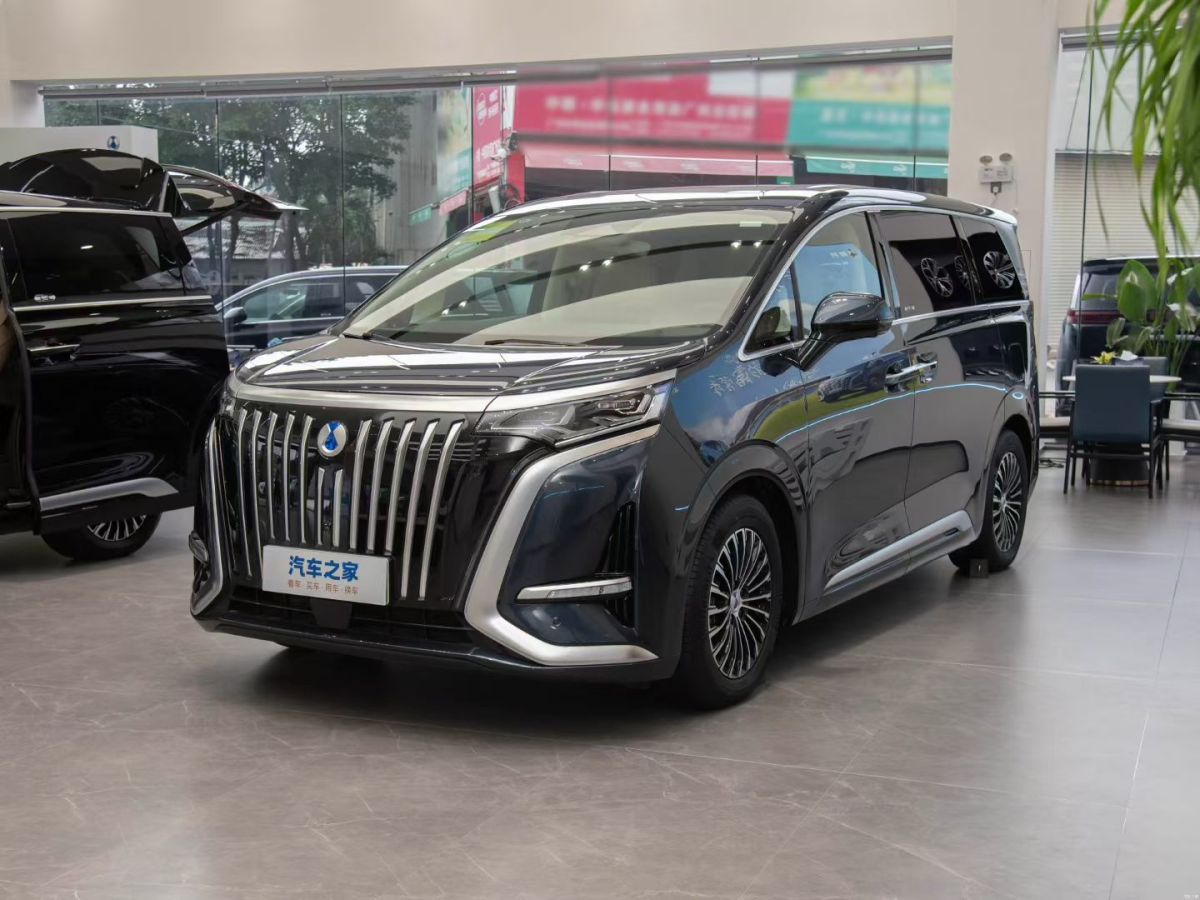 Denza N8L 2024 immagine di auto #3