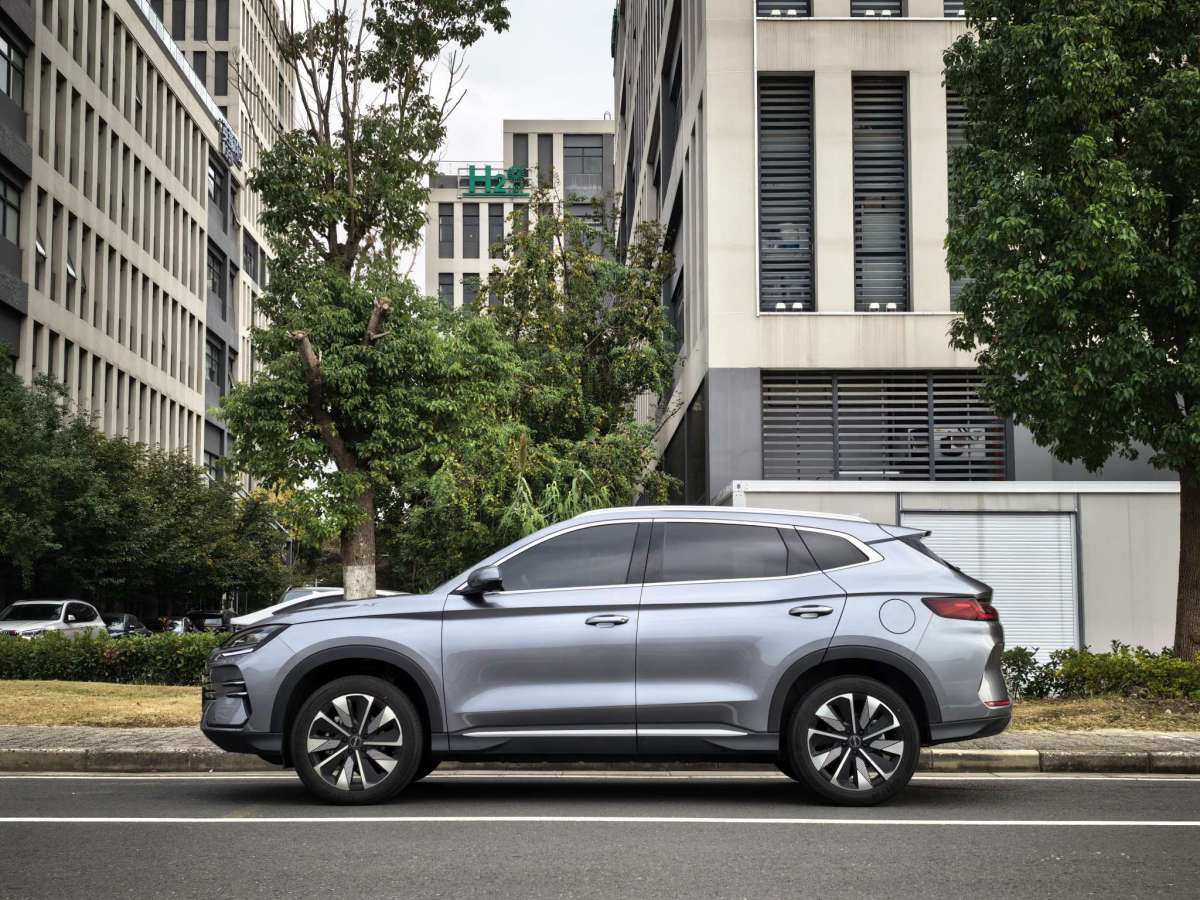 BYD Song 2025 immagine di auto #3