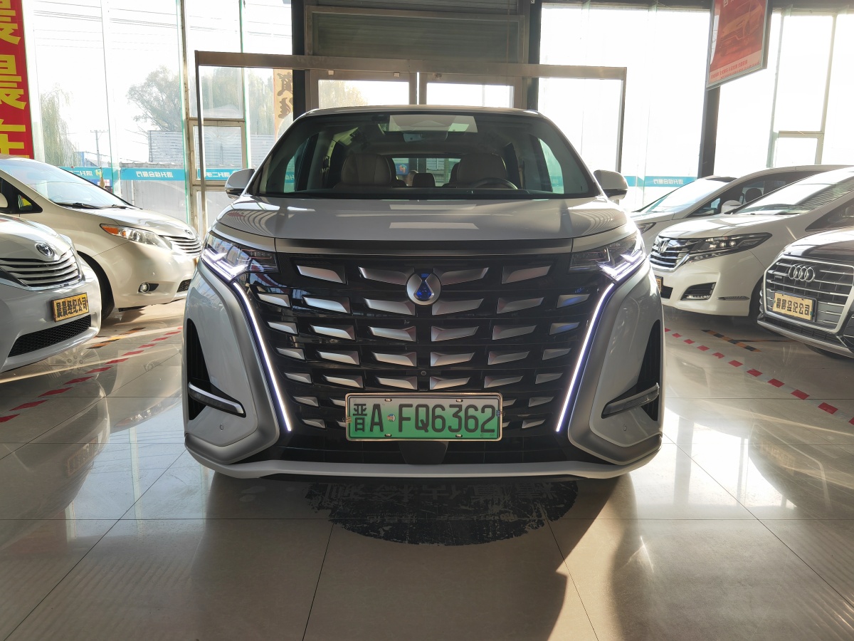 Denza N8L 2022 image de voiture #3