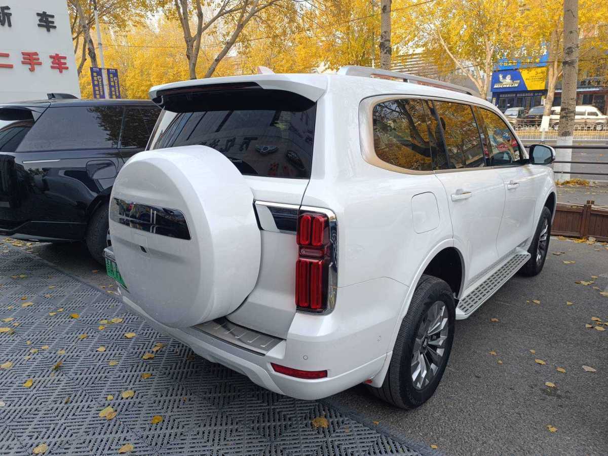 Tank 500 New Energy 2024 car image #3