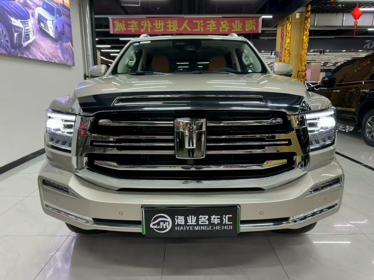 Tank 500 New Energy 2024 car image #3