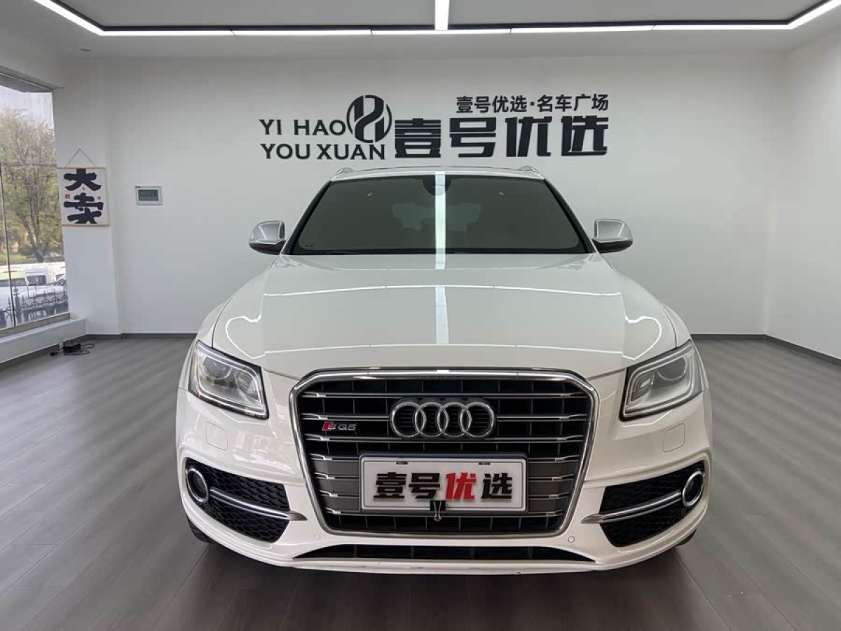 Audi SQ5 2013 imagem de carro #3